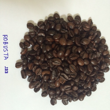 Roasted Coffee Beans