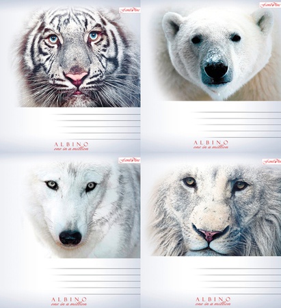 Тетради в ассортименте