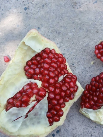 taze nar ihracata hazır ve diğer meyveler