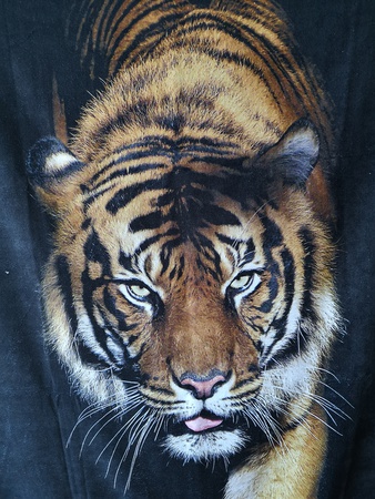 Сублиматекс микрофибра