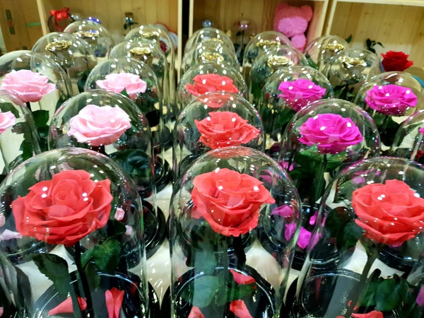 Роза в колбе оптом ассортимент