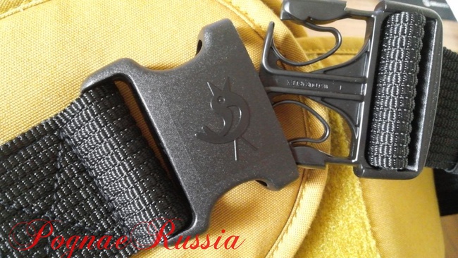 Хипсит Pognae ORGA "Gold Kiwi" (Золотой Киви)