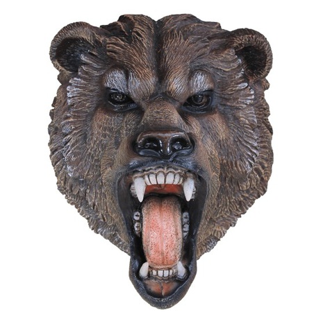 Ayı kafa hırıltıları