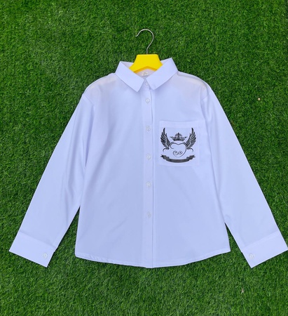 Школьные блузки