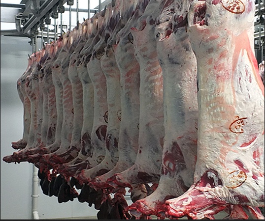 DOĞRULANMIŞ BİR TEDARİKÇİDEN 6 BÖLÜMDE HELAL TAZE SOĞUTULMUŞ VE DONDURULMUŞ KEÇİ / KOYU / KUZU KARkası