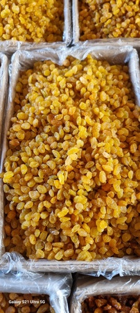 Изюм желтый