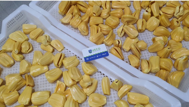 Джекфрут заморозка Оптом. Прямая поставка с завода