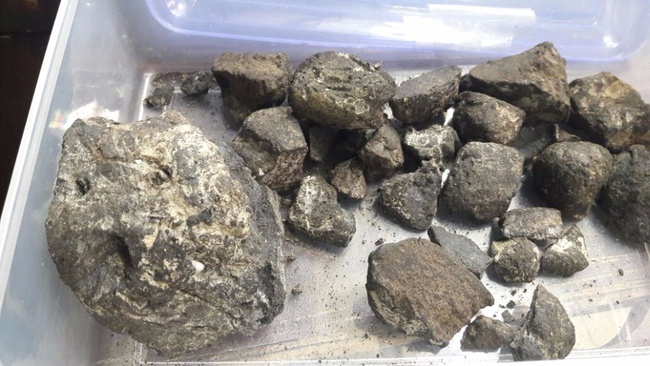 Амбра кашалота