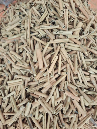 عصا قرفة / كاسيا مكسورة / قرفة كاسيان منفصلة