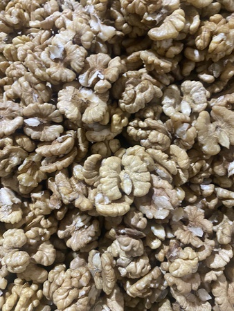 Ядро грецкие орехи