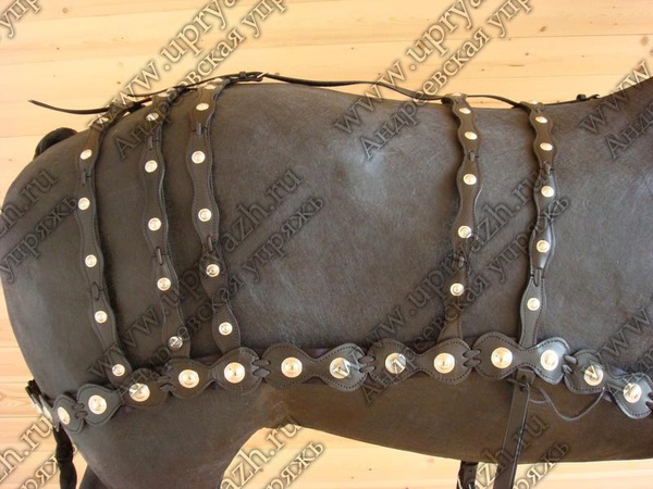 Шлея фигурная черная