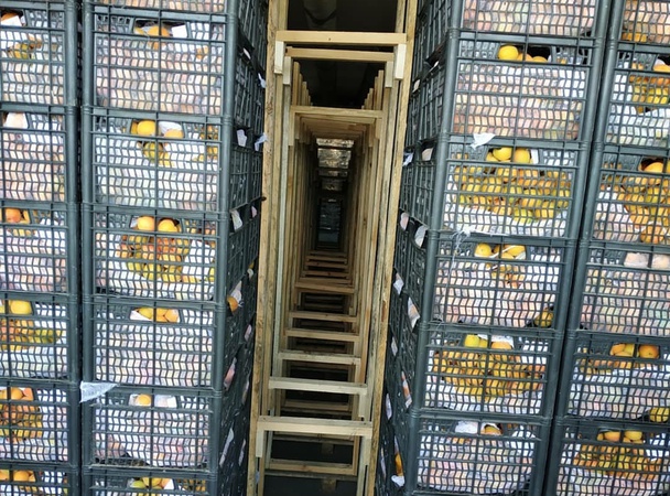 Продаю абрикос оптом с доставкой или без