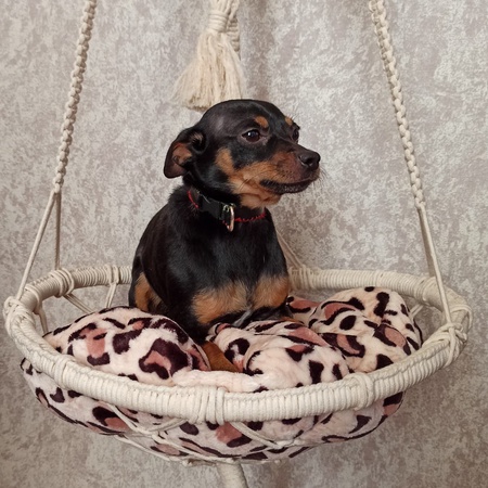 El yapımı ürünler. Makrome.