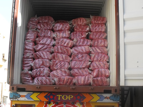 Pasta all shapes, Macaroni penne, Vermicelli, Elbow, Twist, Fusilli, 25 kg, Large size