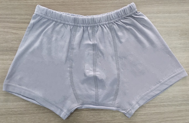 Трусы для мальчиков 13004-1 однотонные