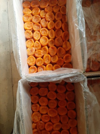 Курага (Kuru Kayısı)