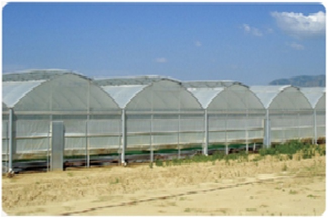 Промышленные и фермерские теплицы для выращивания фруктов, ягод, овощей
