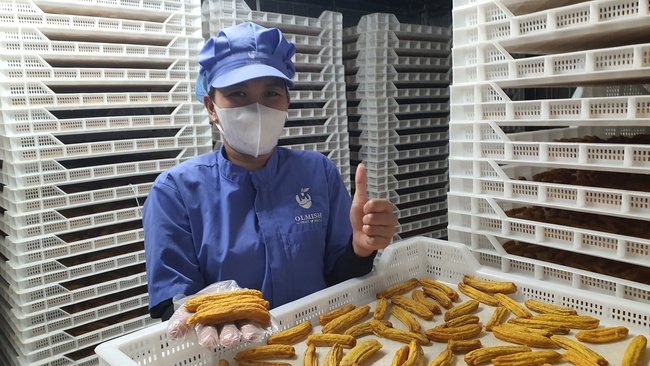 Kurutulmuş Muz. OLMISH fabrikalarından kurutulmuş meyveler