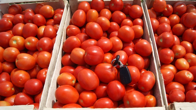 Томат сливка,  качество отличное от производителя