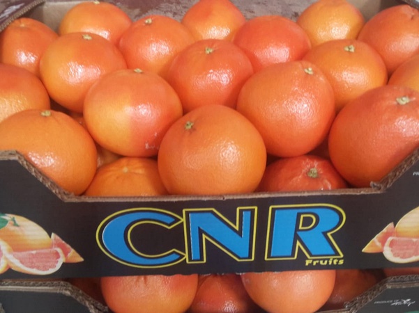 Грейпфрут Руби Ред Стар Руби Марш Хендерсон Рио Ред из Турции