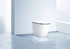 Wall Mounted Smart Bidet Toilet