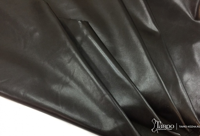 ماشية &quot;طوكيو نابا&quot; سوداء