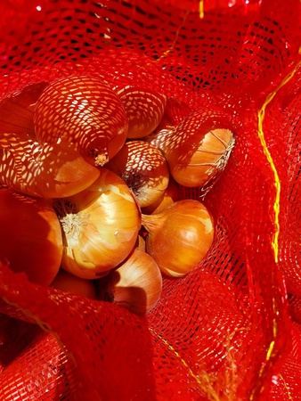 Лук Красный, Золотой