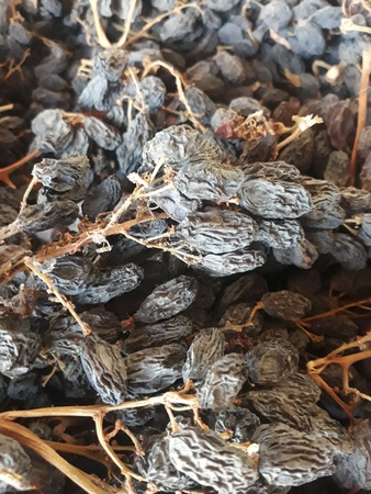 Her türlü yükseliş