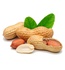 АРАХИС / Peanut
