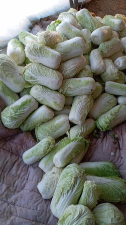 Üreticiden sebze ve meyveler (mevsime göre)