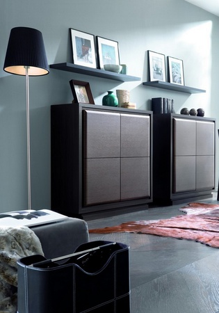 النظام المعياري &quot;Areca&quot;