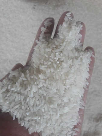 Рис на экспорт из Индии