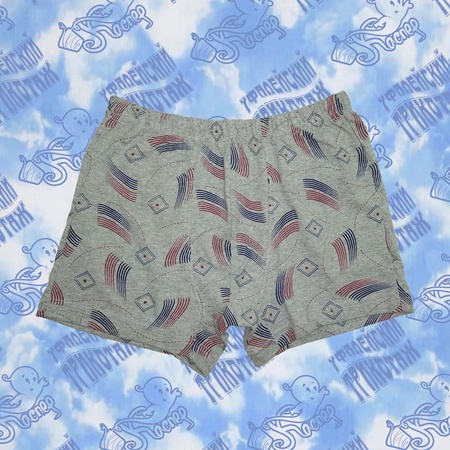 Трусы мужские 02-12004