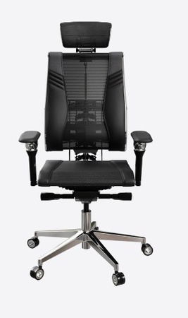 Yoga Spine Triumph B2