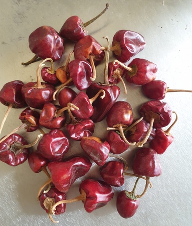 Dry Red Chilli  ​