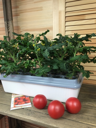 Домашняя Установка  «Чудо_грядка Здоровья КЛАД"