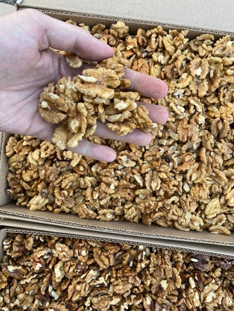 Грецкий орех бабочка (1/2)