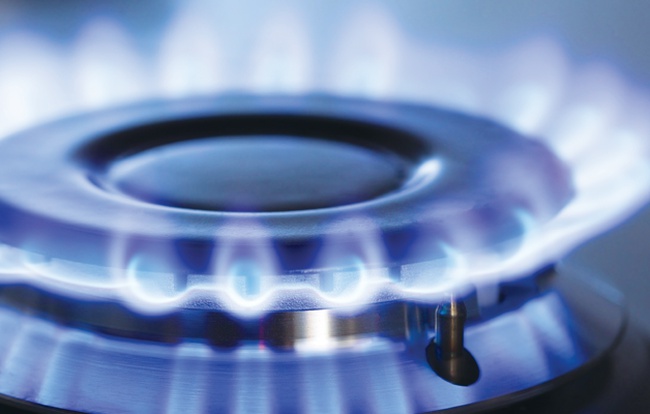 Газовая кухонная плита Artel Apetito 50 02-G