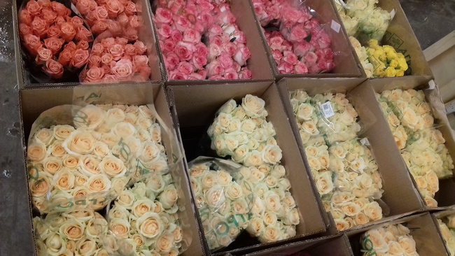 flowers in small and large wholesale large assortment