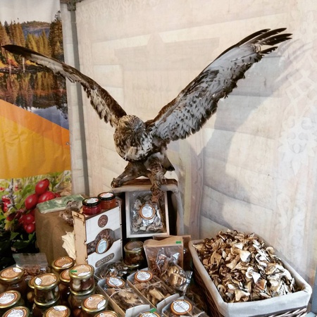 Белые грибы боровики Сибирские в маринаде (ХМАО-ЮГРА)