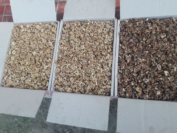 Грецкий орех (Walnut)