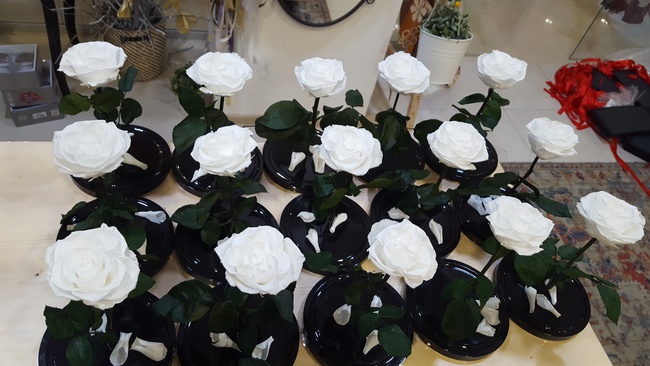 Matara içinde gül 28cm premium beyaz