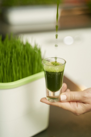 Проращиватель Х1 (Аэросад)