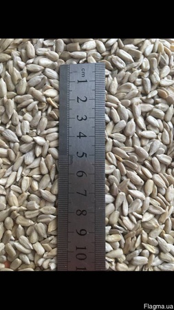 Soyulmuş ayçekirdeği