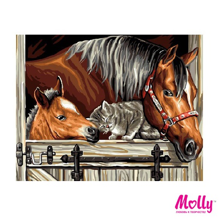 Arkadaş sayısına göre boyama