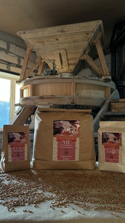 Wholemeal flour of medium grind, without bleaching and without chemical additives