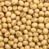 Organic Soybean Powder, Oil & Seeds