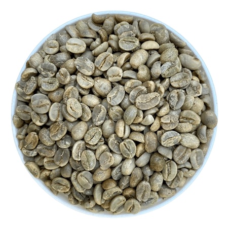 Yeşil kahve çekirdekleri Arabica 1 sınıf geleneksel işleme