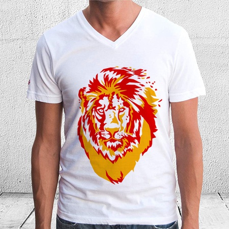 Мужская футболка с принтом