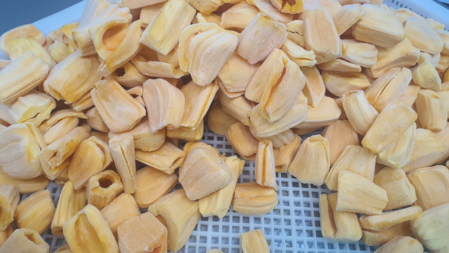 Джекфрут заморозка Оптом. Прямая поставка с завода